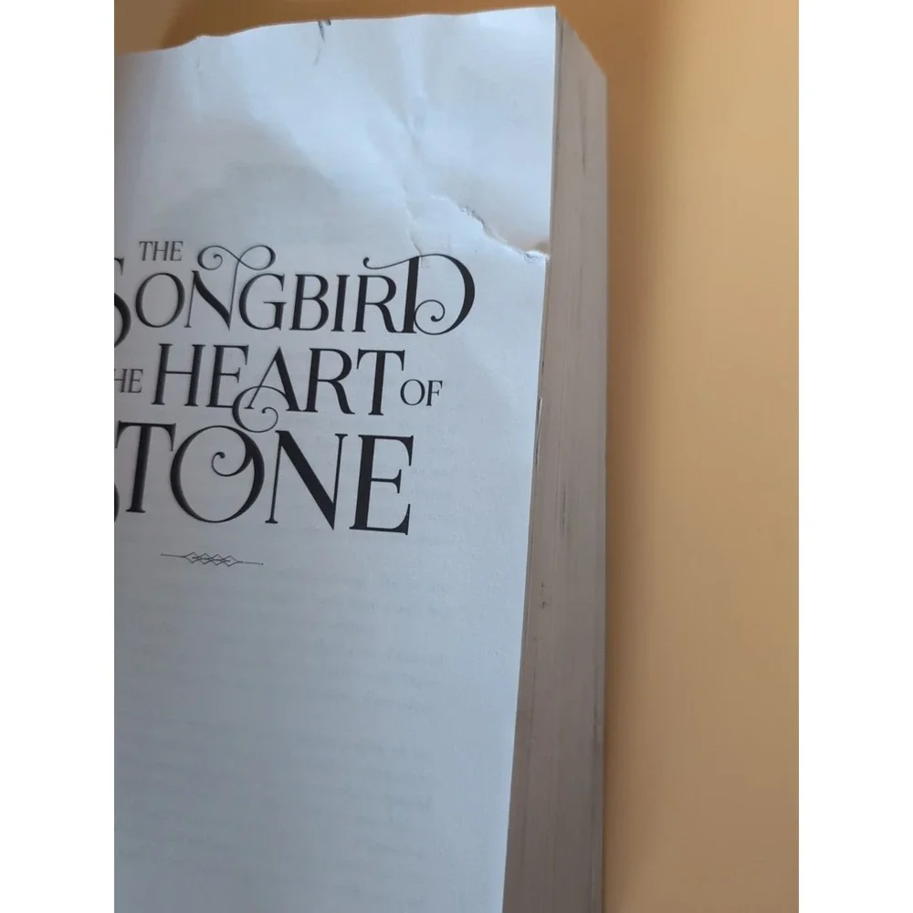 Songbird and the Heart of Stone : The‎ Shadowborn Duet, Book One Damaged Cover